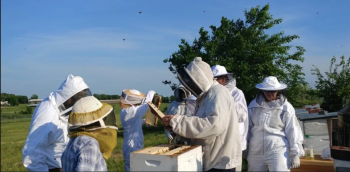 Beekeepers stand around a hive.