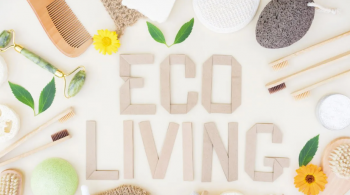 The words "Eco Living" spelled in cardboard surrounded by sustainable home products.