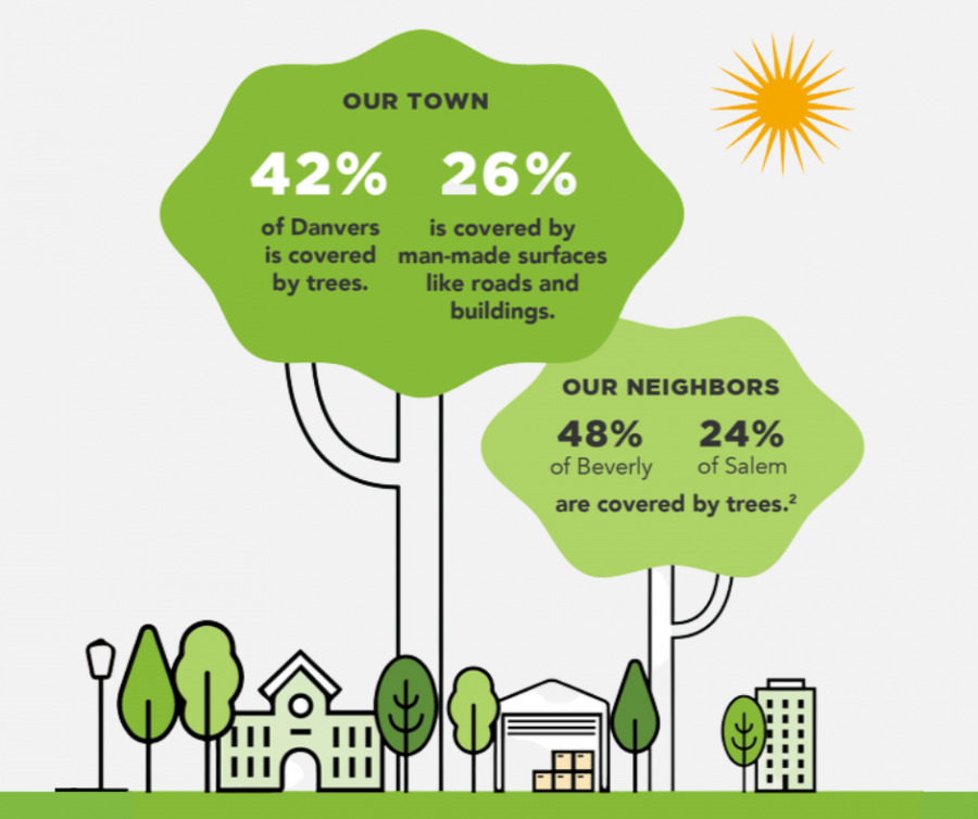 Graphic showing 42% of land in Danvers is covered by trees.