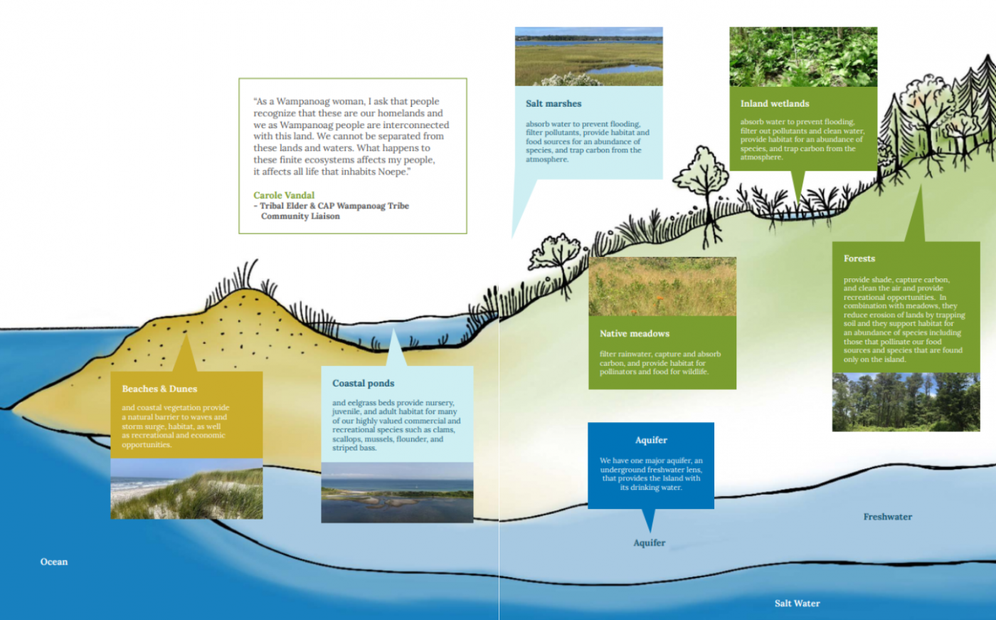 Graphic showing different natural systems and their environmental benefits.