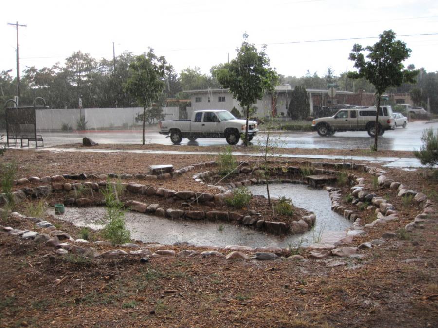 A photo of the West Alameda Rain Garden, a green infrastructure feature, with a road in the background. 