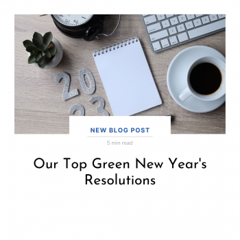 Our Top Green New Year's Resolutions