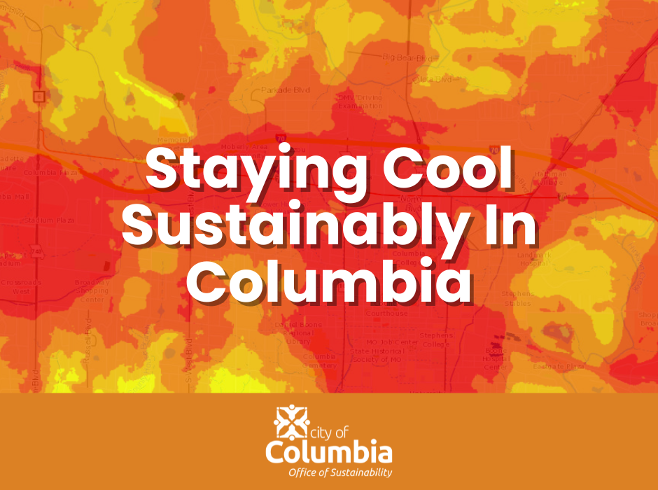 Staying Cool Sustainably in Columbia