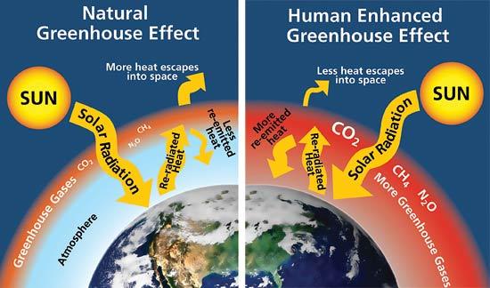 A comparison of greenhouse effect

Description automatically generated