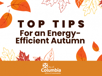 Top tips for an energy-efficient autumn