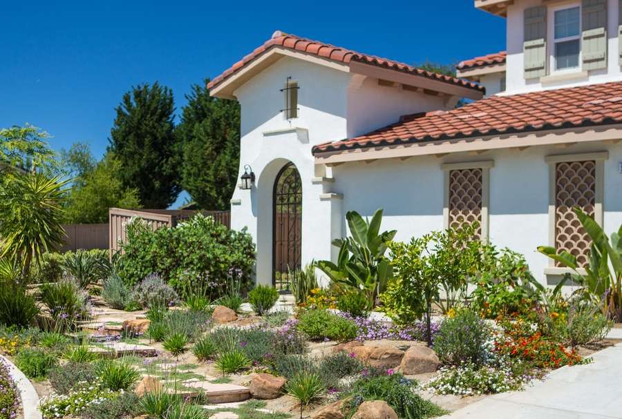 Front lawn landscaped with California Native species with home in background.