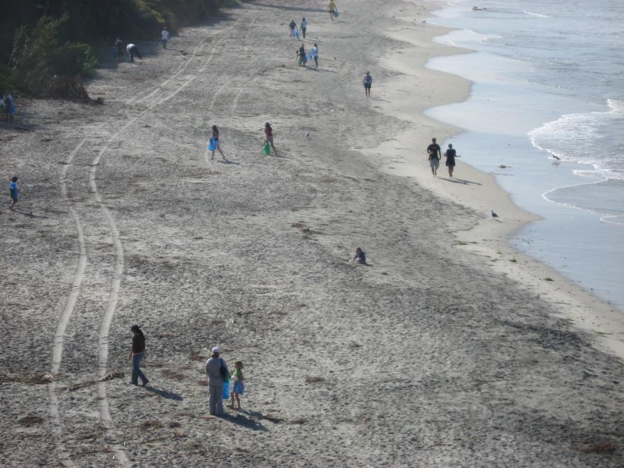 A bird's eye view of people cleaning up a beach in Encinitas