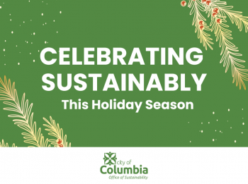 Celebrating Sustainably this Holiday Season
