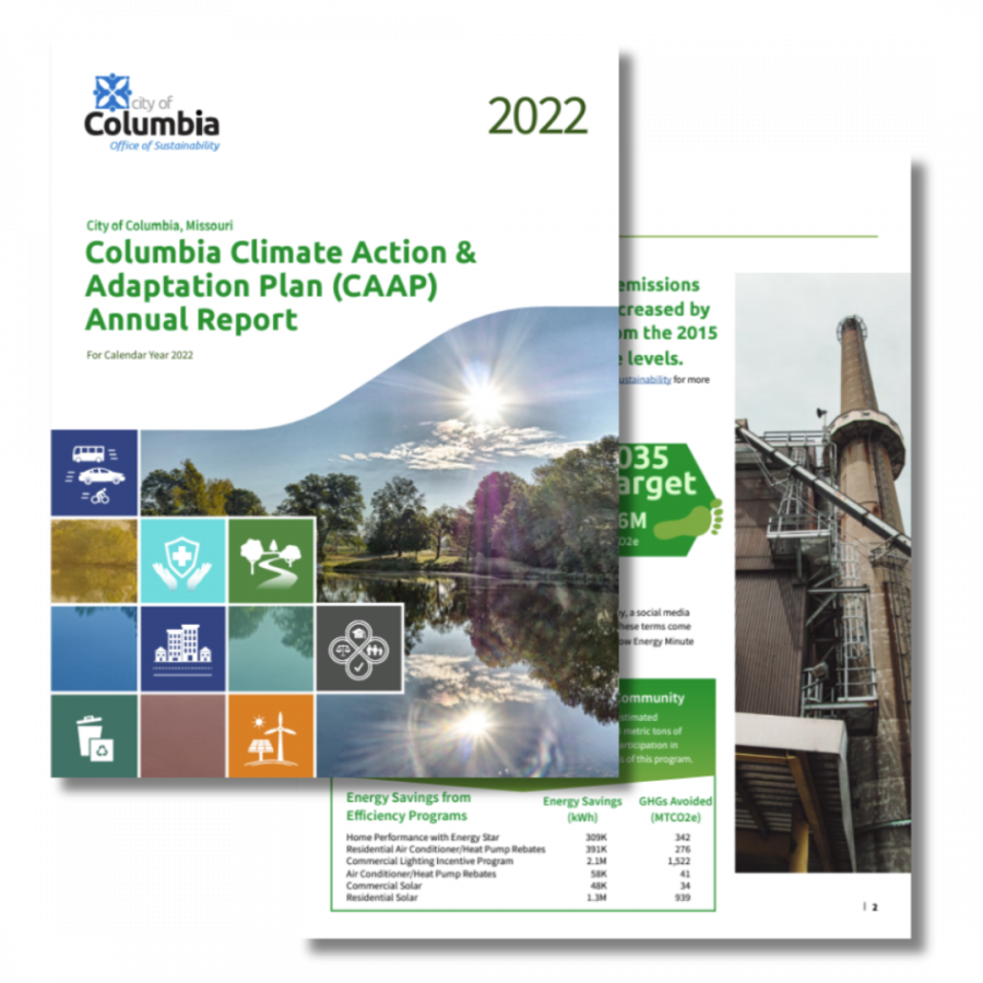 CAAP Report 2022