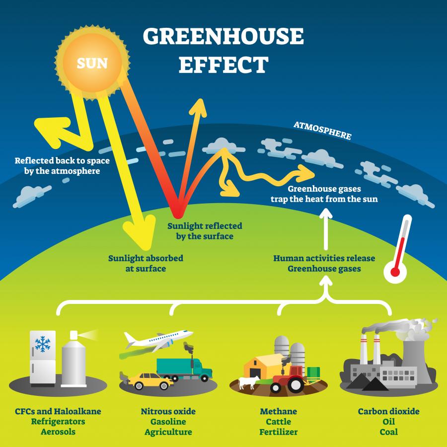 Infographic of the greenhouse gas effect. Depicts emissions from human activities (such as transportation and energy used in buildings) released into the atmosphere where they trap heat from the sun.