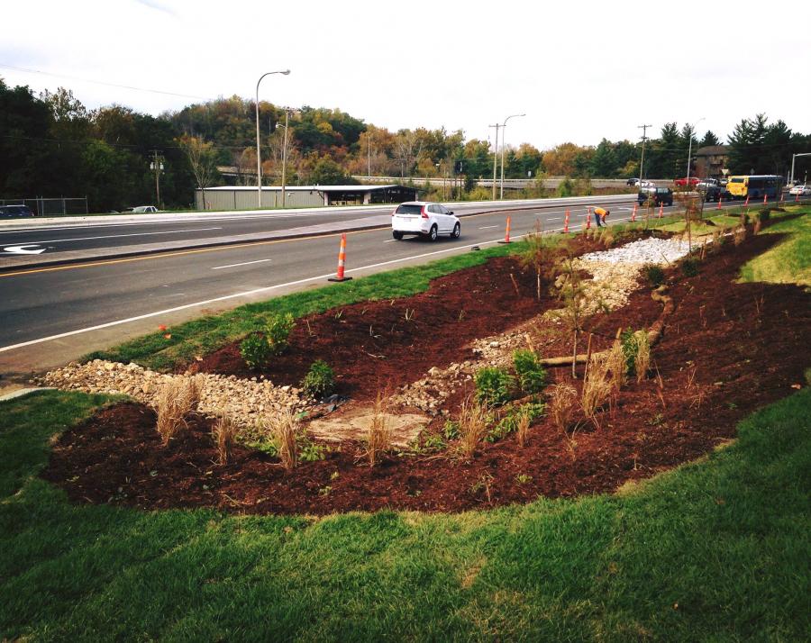 Rain Garden Old HWY 63