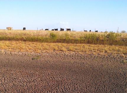 Dry brown fields