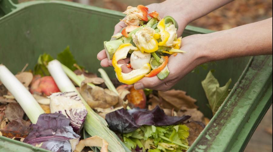 Hands holding vegetable scraps over a compost bin