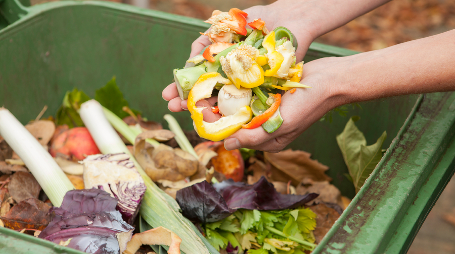 Hands holding vegetable scraps over a compost bin