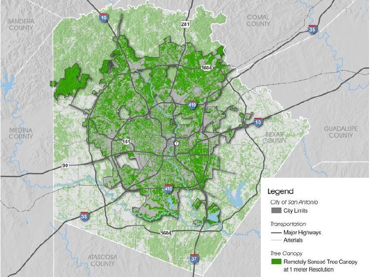 tree canopy map of SA