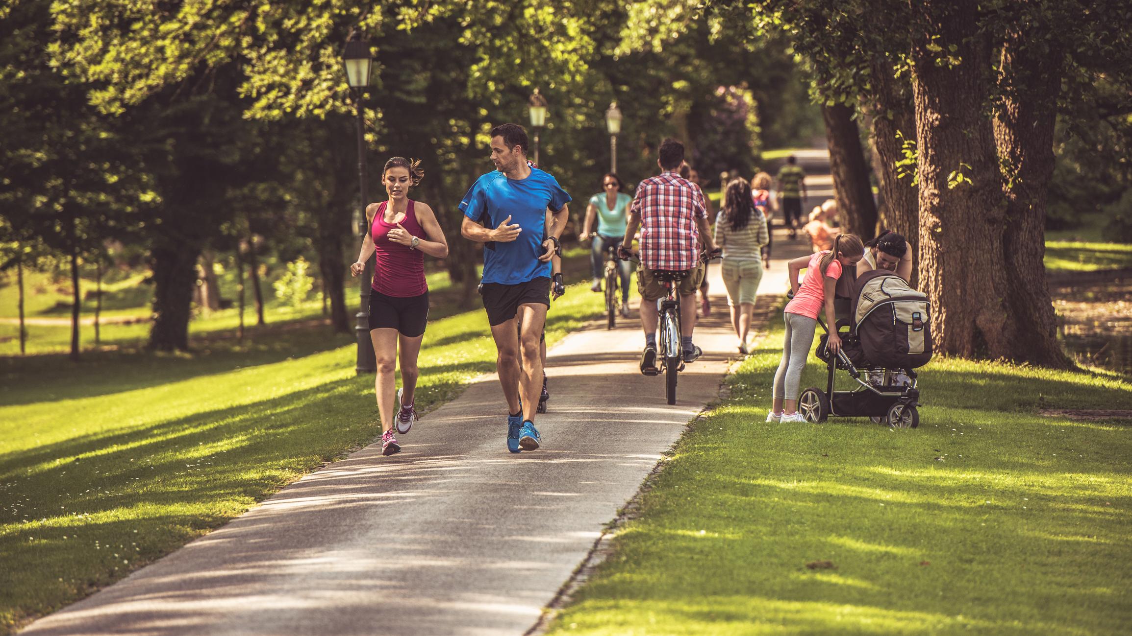 People jogging on a trail in a park and others riding bikes and walking under shade trees.