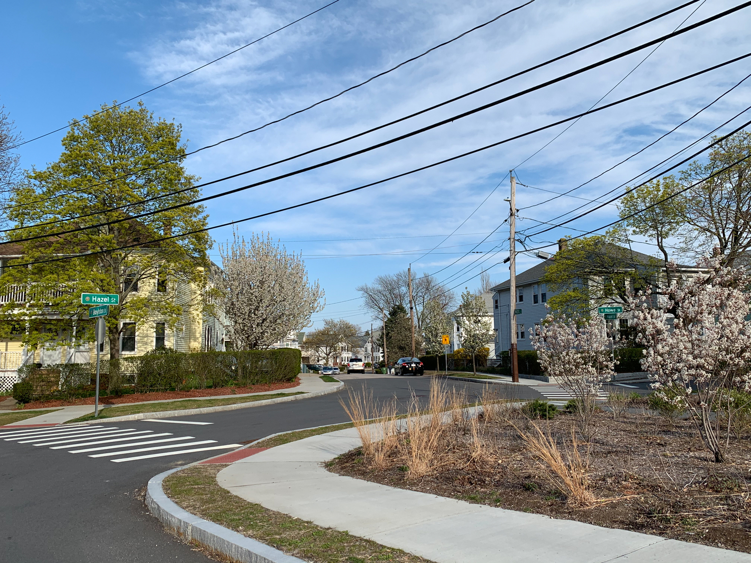 Greening The Community: Citizens For Conservation Plant Sale