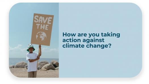 How are you taking action against climate change?