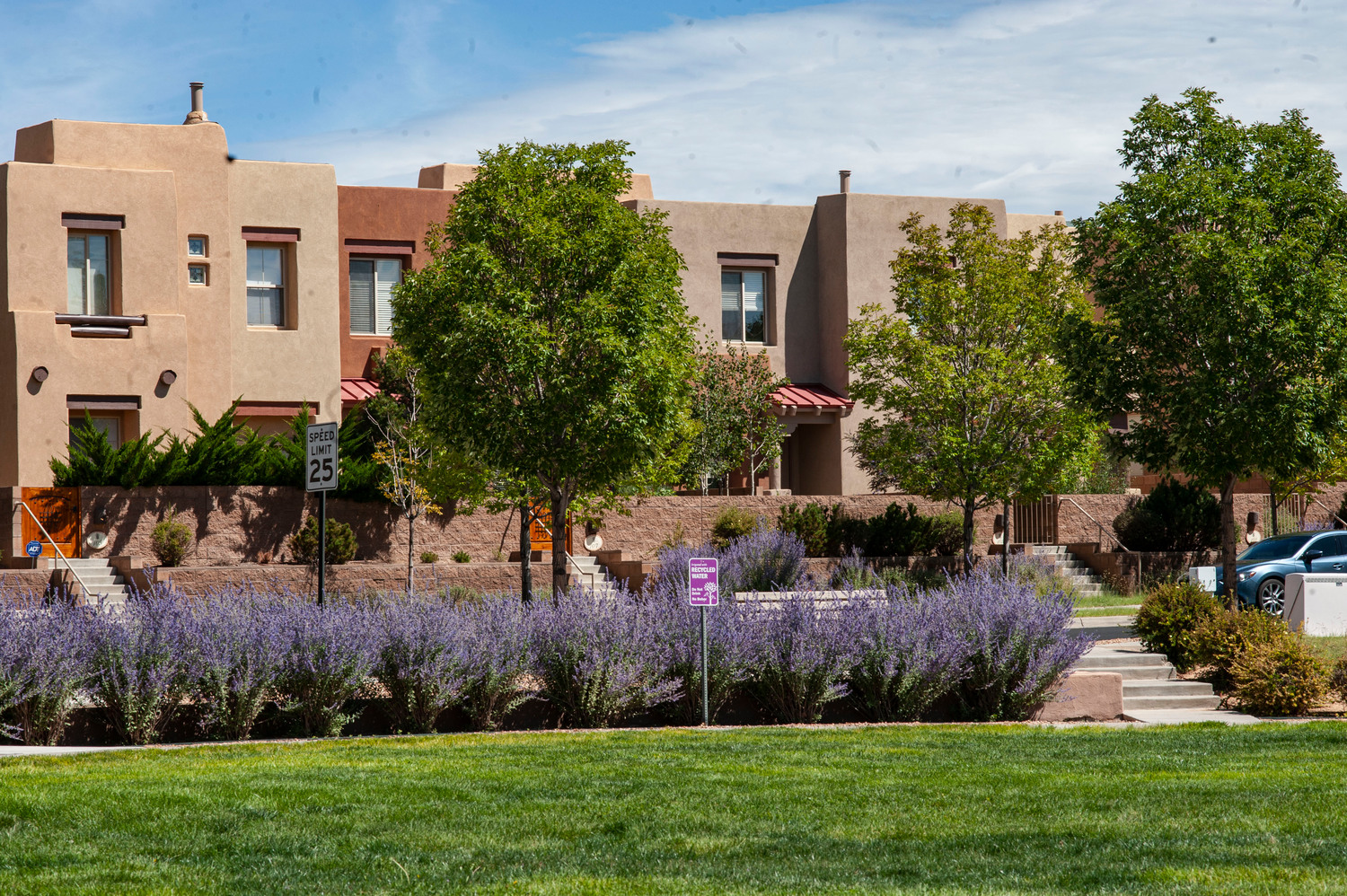 Open green space with landscaping in front of buildings.