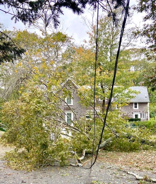 Tree fallen on power line in front of a house.
