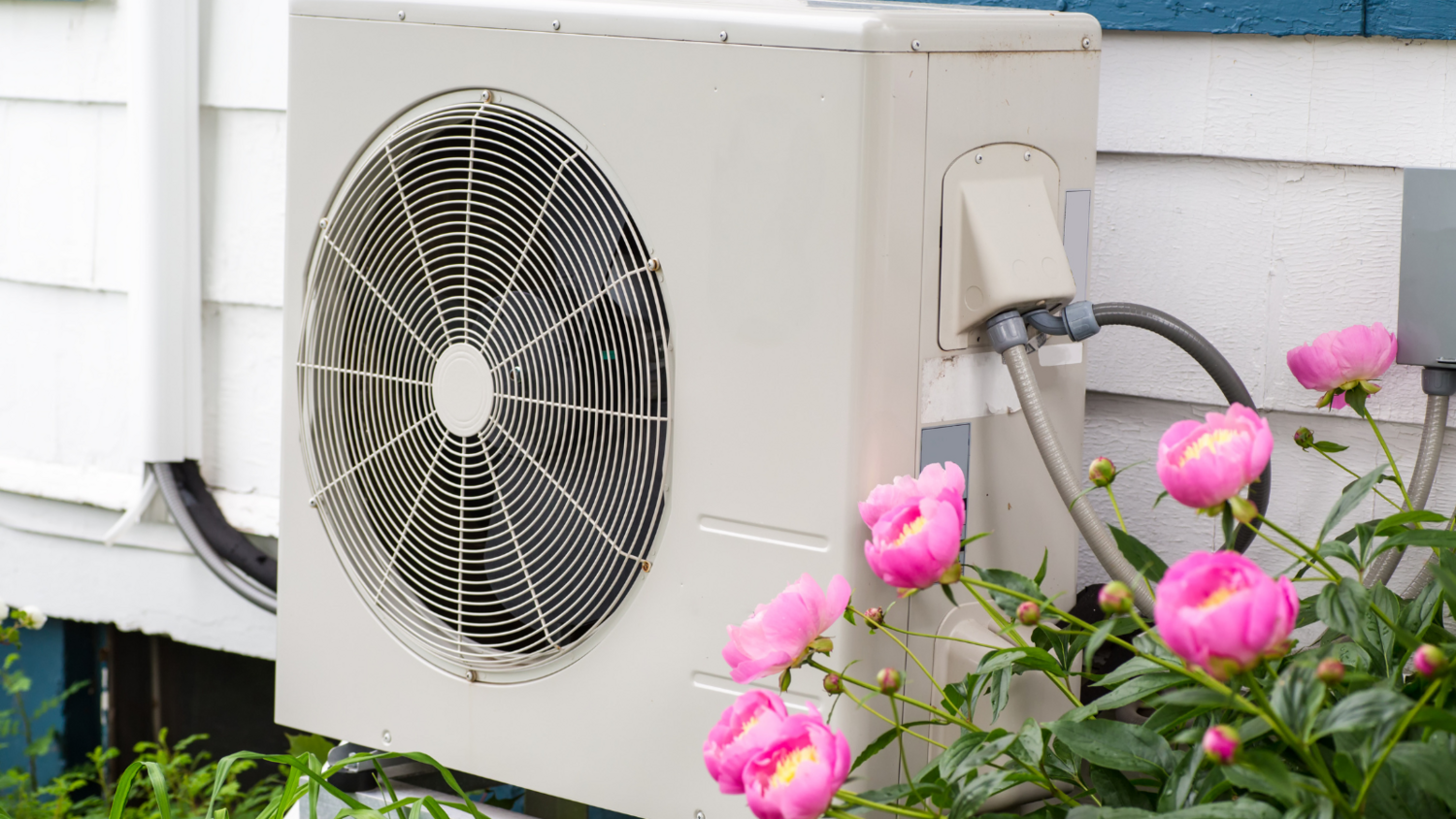 Heat pump unit outside on white house behind pink flowers.